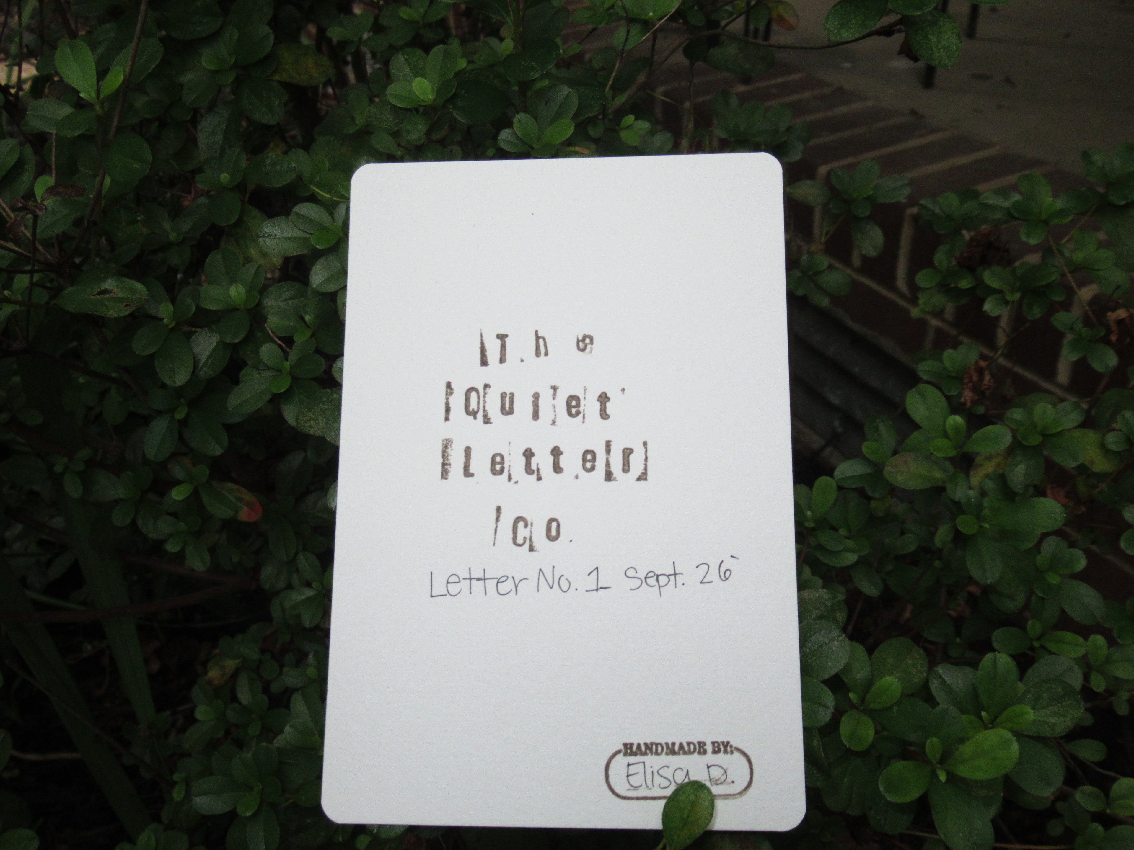 (PRE-ORDER) The Quiet Letter | September 2026 | Monthly Mail
